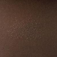 
	Atopic eczema -&nbsp;prominent follicular…