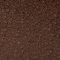 
	Atopic eczema - same patient as previous…